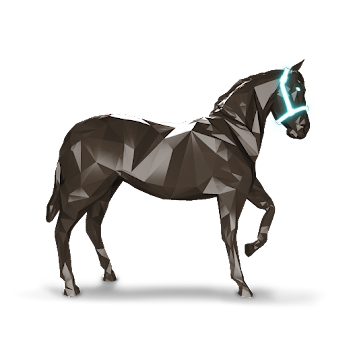 KumTremblay's tweet image. #Solana #BTC #CryptoCommunity #Aptos #NFTCommunity