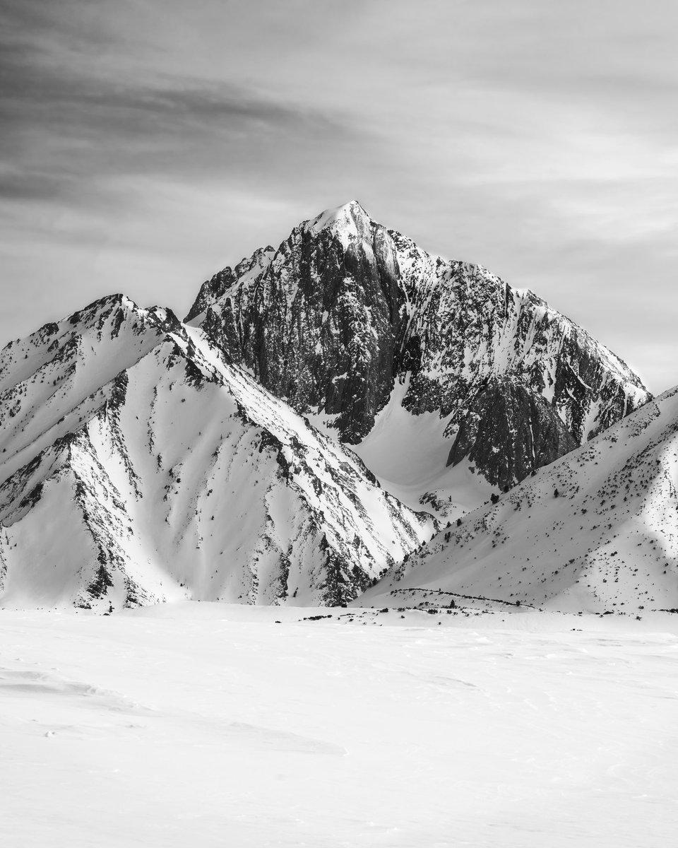 Mammoth Lakes Tourism, California tweet media