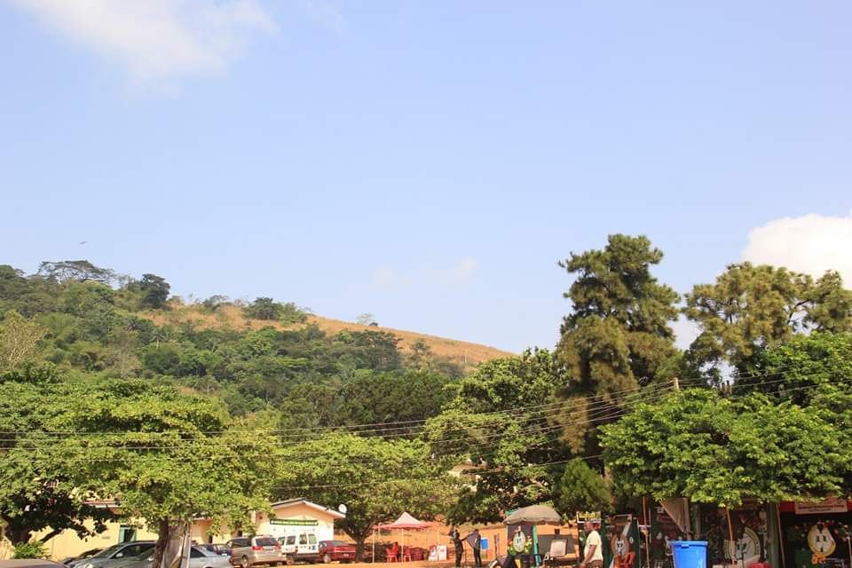 nysc360's tweet photo. How beautiful at eventide
To see the twilight shadow pale,
The harmattan hue on the vegetation makes it looks so adorned.
Nature is beautiful, quiet, and serene.
Alas Awgu my Camp.
...written by Ikeh Isaiah (EN/22C/2285)
#OneMoreNightToGo https://t.co/JqnGhtpiOt