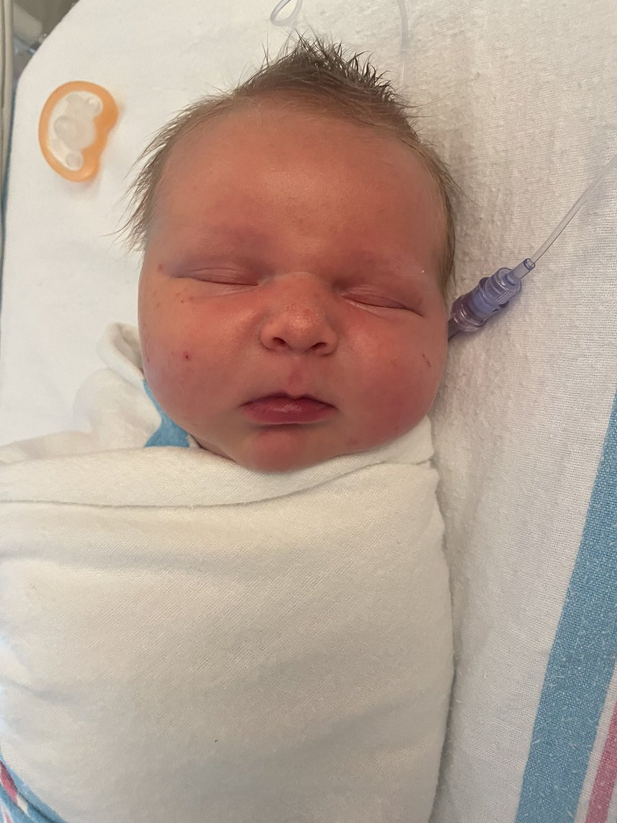 Krysti Johns tweet media