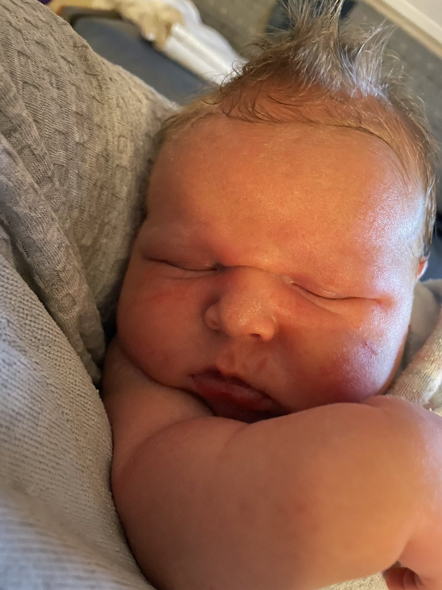 Krysti Johns tweet media