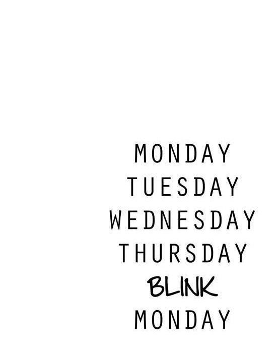 Elliekeen007's tweet photo. lol thats absolutely true 💯💯
#MondayMorning #MagicMondays #MotivationalMonday #EqualityMonday #CyberMon #mondaymood #motivation #mondayvibes #fitness #love #motivationalquotes #newweek #mondaythoughts https://t.co/fNIEZu76o4