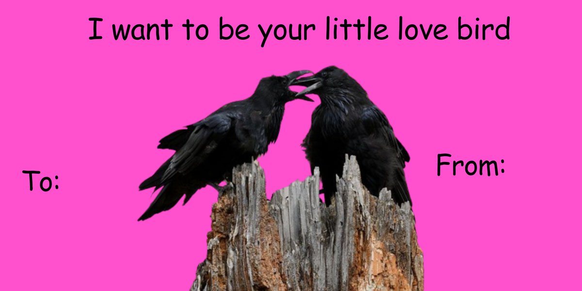 Some #valentines I made for fellow corvid enjoyers, hope you like them <3