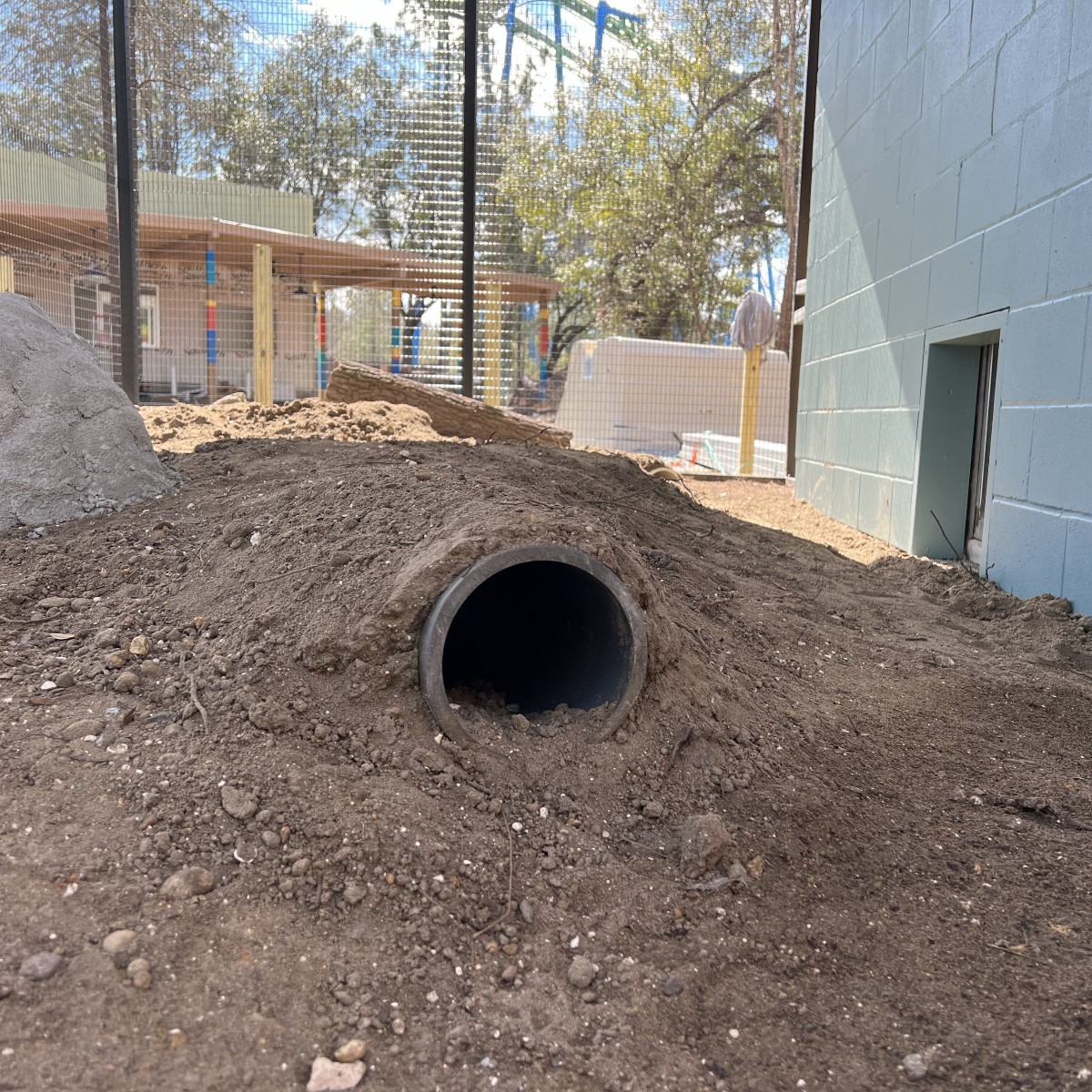Wild_Adventures's tweet photo. Time for another #ParkUpdate! Our ZooKeepers are hard at work building the new habitats for all of our new animal friends coming to this area. 👏 https://t.co/h93PBr8qWt