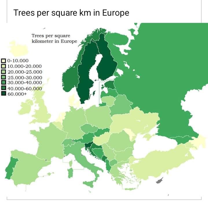 BomenAchterhoek (@bomenachterhoek) on Twitter photo 