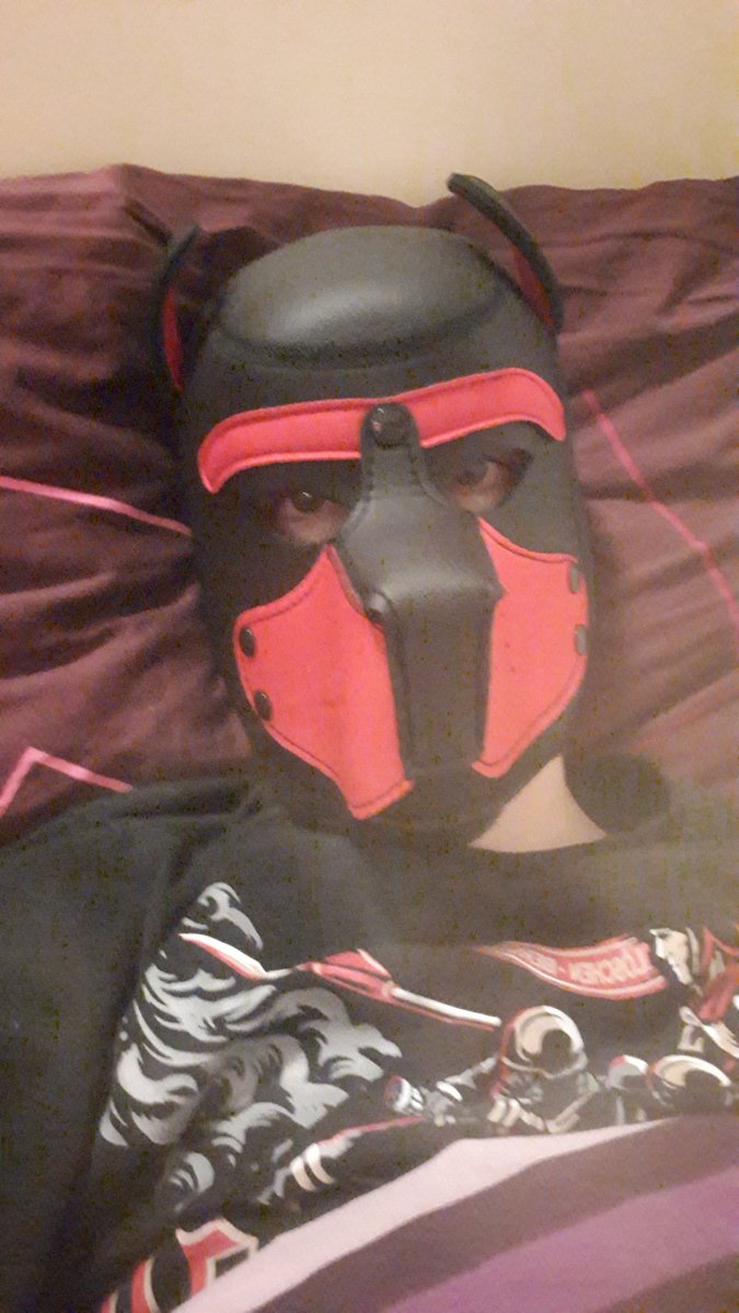 Puppy_Dexter's tweet photo. Moin an alle da draußen. Ich wünsche einen angenehmen Abend.
@ShyroxxTheAlpha https://t.co/I41AV3HqoW