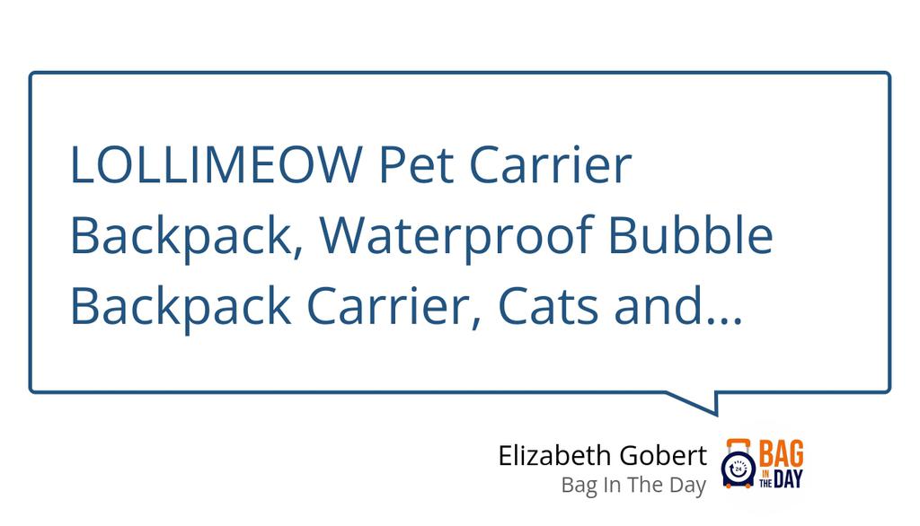 Bagintheday1's tweet image. Bubble backpacks are an innovative and unique way to provide assistance for pets with mobility issues.

Read the full article: Choosing The Best Bubble Backpack For Pets in 2022
▸ bit.ly/3B3eTIR

#BubbleBackpack #Backpacks #ClearDomeShapedDevice #PupFeelSafer