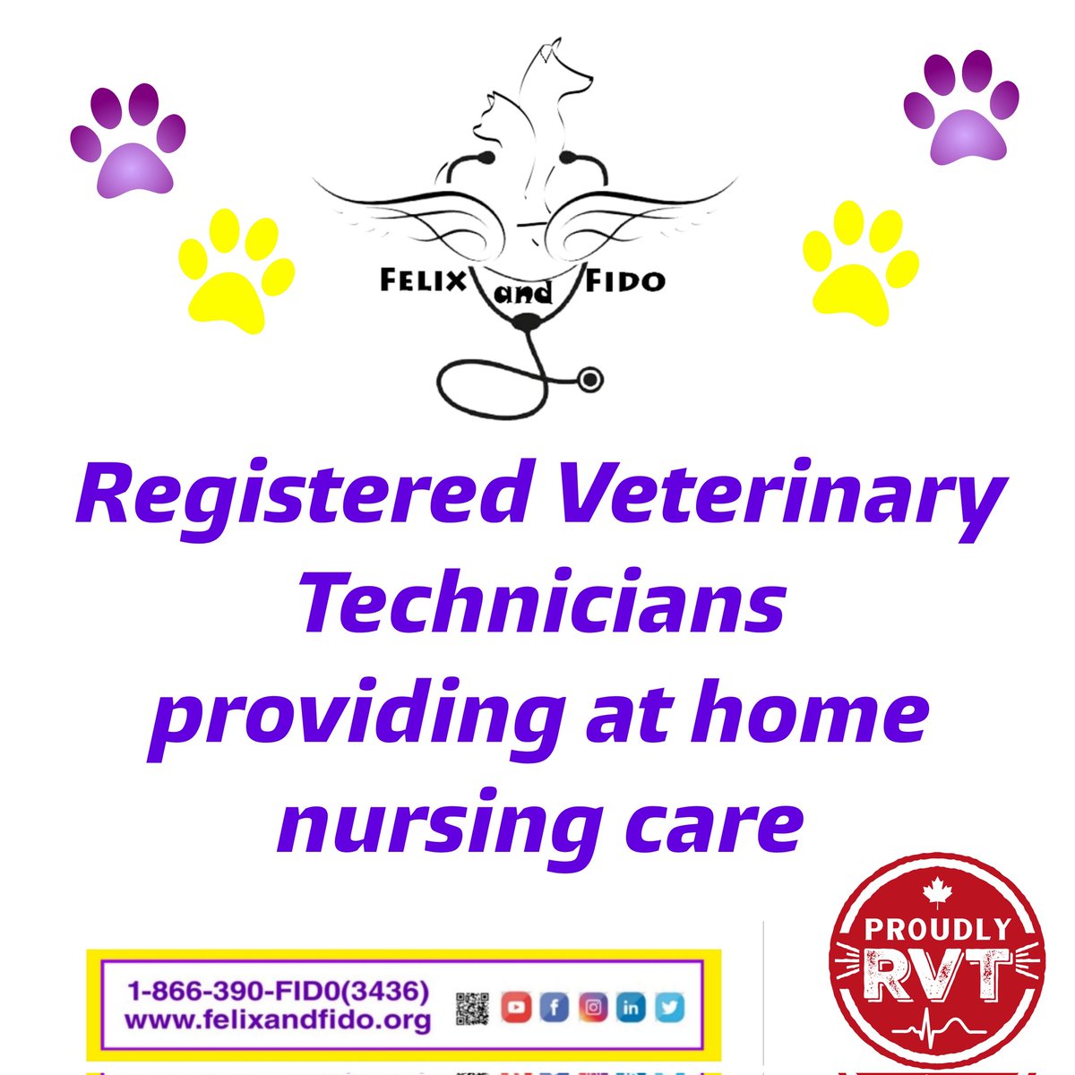 FelixandFido's tweet photo. You can book an appointment by setting up a profile on our website: https://t.co/4ejVtMOirb

#felixandfidoathomenursingcare #petnursingathome #rvtsareessential #vetmedsolutions #qualitypetcare #petnursing #petlovers #petnurse #petfriendly #vetmed #virtualvetcare #wesupportyou https://t.co/QuAPe5MrdI