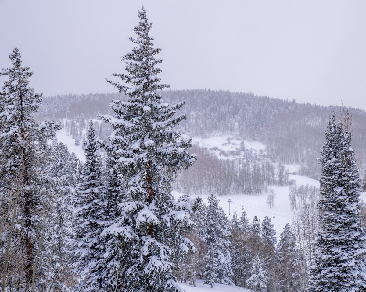 Beaver Creek Resort tweet media