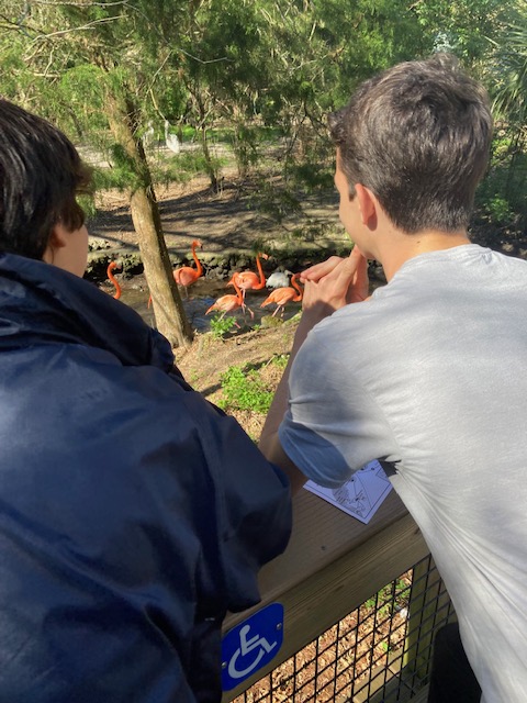 susi4ed's tweet photo. Durand Duckies on the move at Homosassa Springs

@StEdsVero
 @StEdsMiddle
 #howsesconnects https://t.co/P3qx4PXLA2