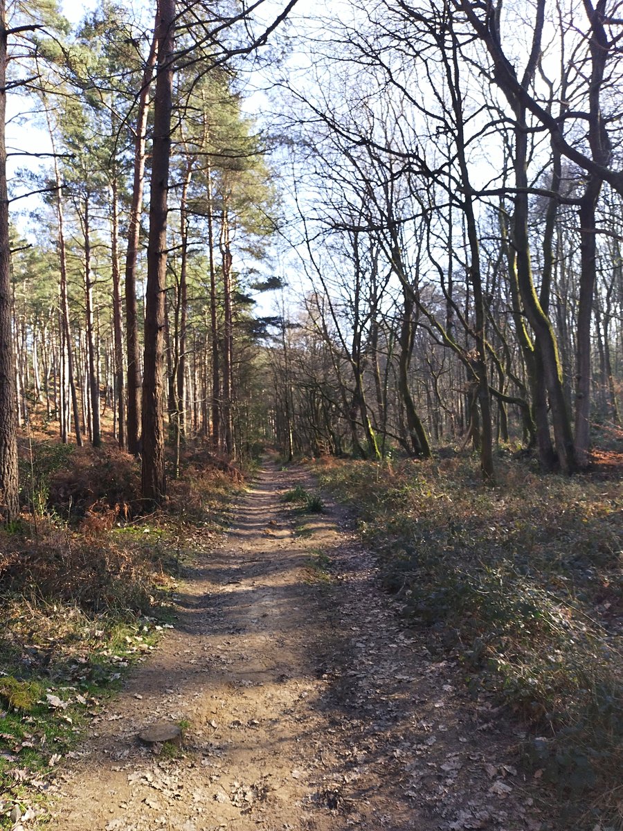 James Duffy tweet media