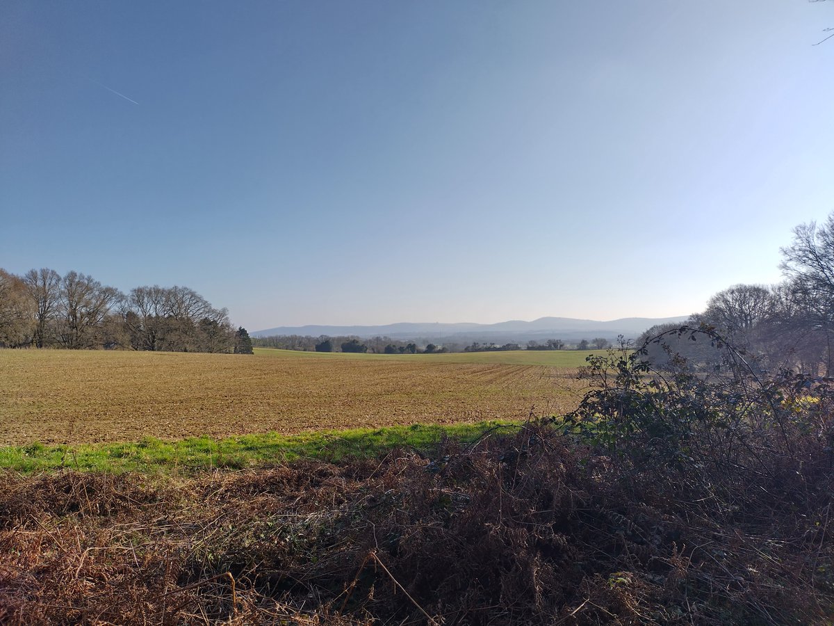 James Duffy tweet media