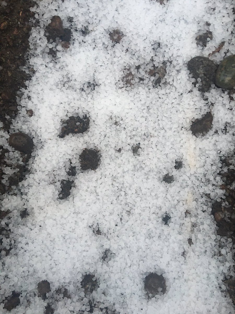 It looks more like winter than spring out there. Did you get hail in your area too? 
#yyj #yyjweather #colwood