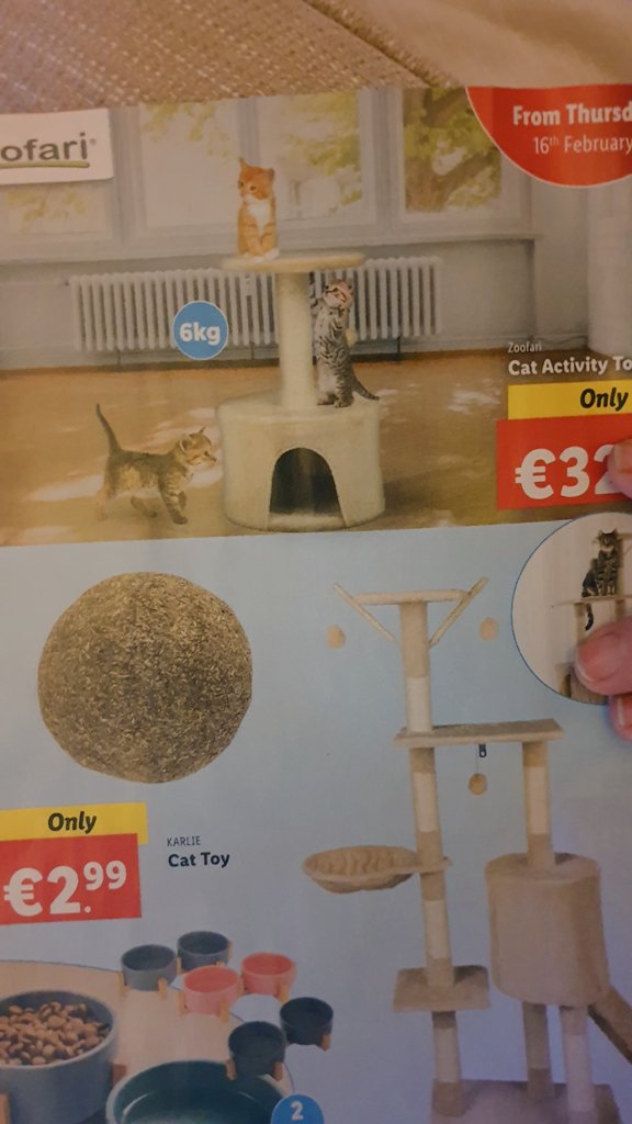 reby on Twitter "RT humspoingle hum Smilbo ,dinky adn Bimbly all