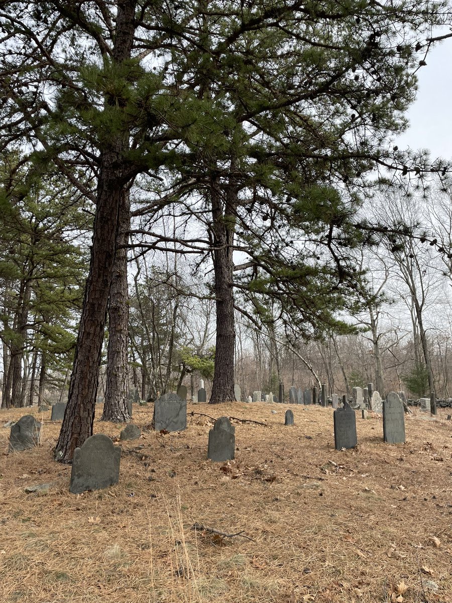 Dan Anderson, BLM 🐝 🇺🇦 on Twitter "RT scib0rg Tucked behind this