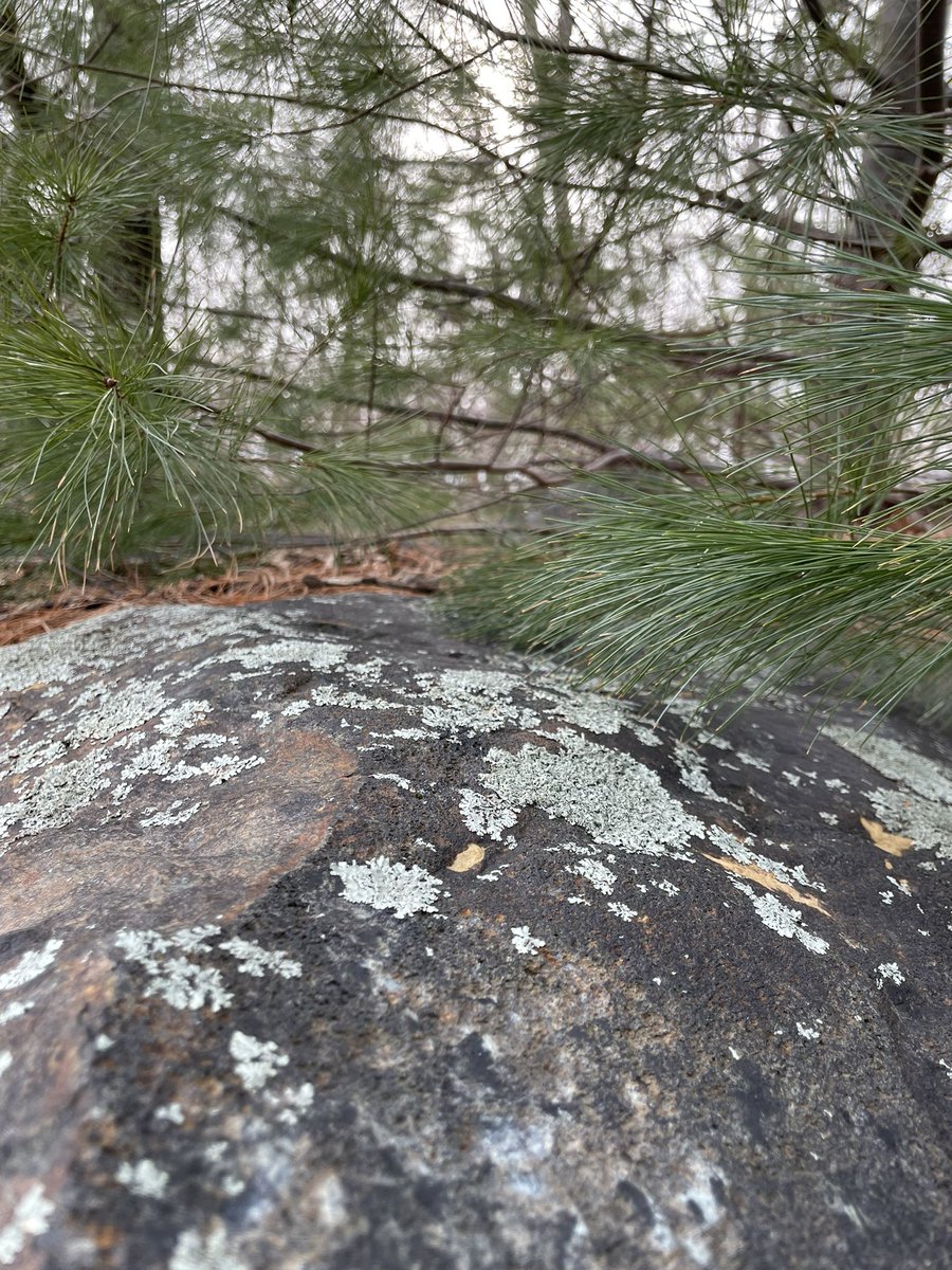 Dan Anderson, BLM 🐝 🇺🇦 on Twitter "RT scib0rg Tucked behind this