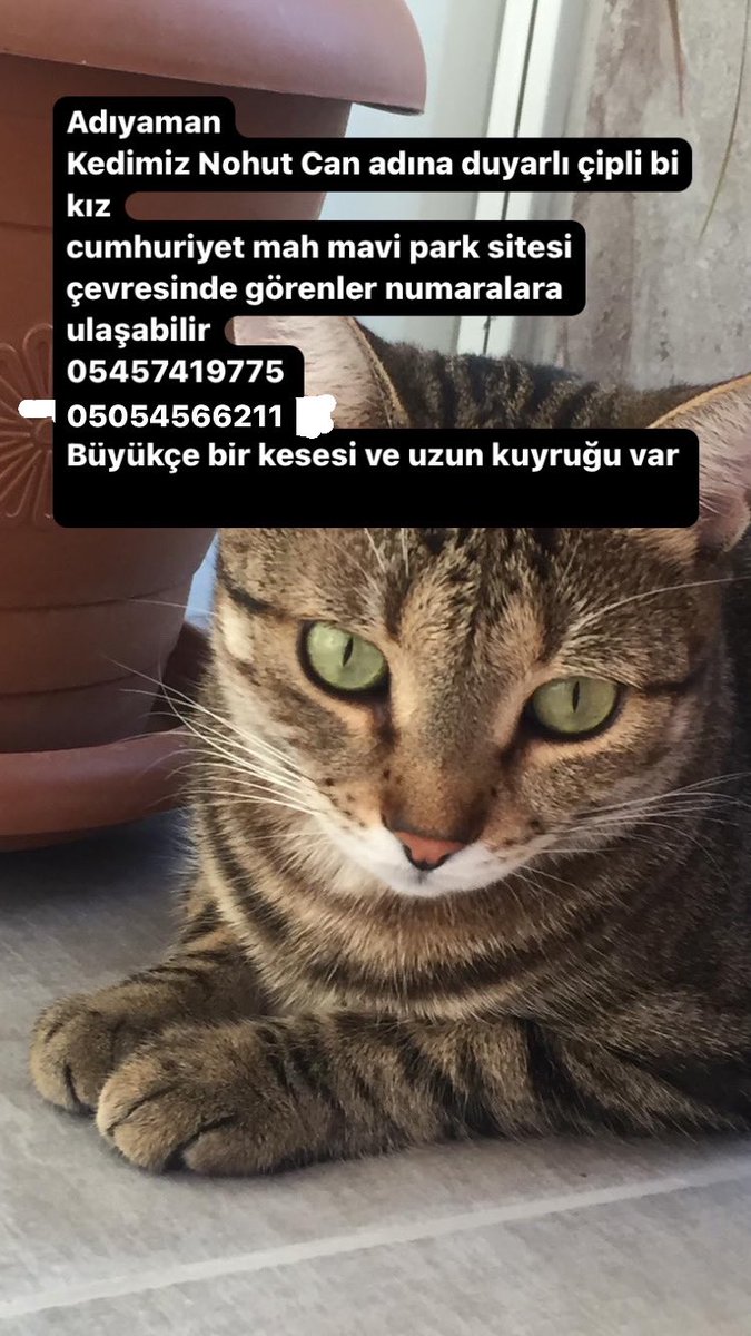 numarayı yanlış yazmışım dalgınlıkla tekrar paylaşıyorum