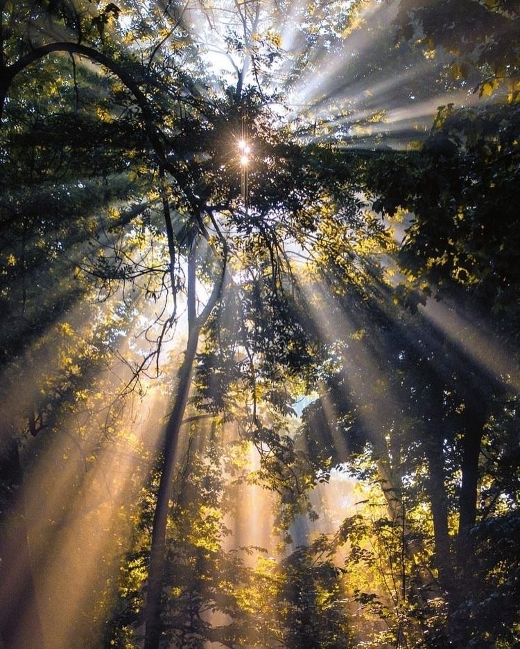 The earth has music for those who listen.

George Santayana

📸 Keith Ladzinski