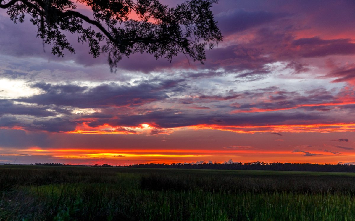 FrippIslandRsrt's tweet photo. Where's your favorite spot to watch the sun go down?

📷 Patrick Myers

#frippinit #frippislandresort #sunset https://t.co/CTbRwYrqcL
