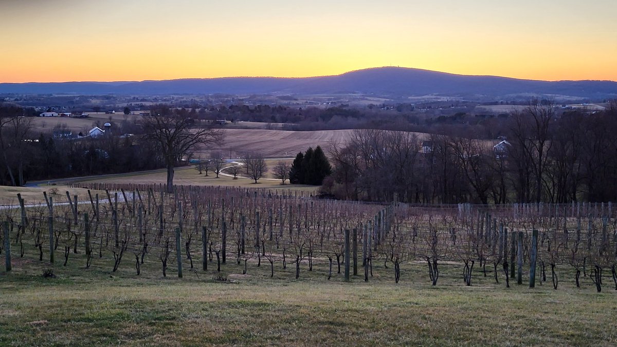 Garry Cohen tweet media