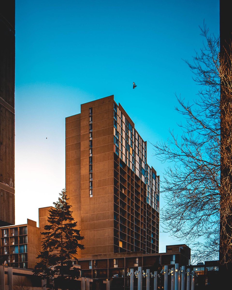 Jordan van der Hagen tweet media