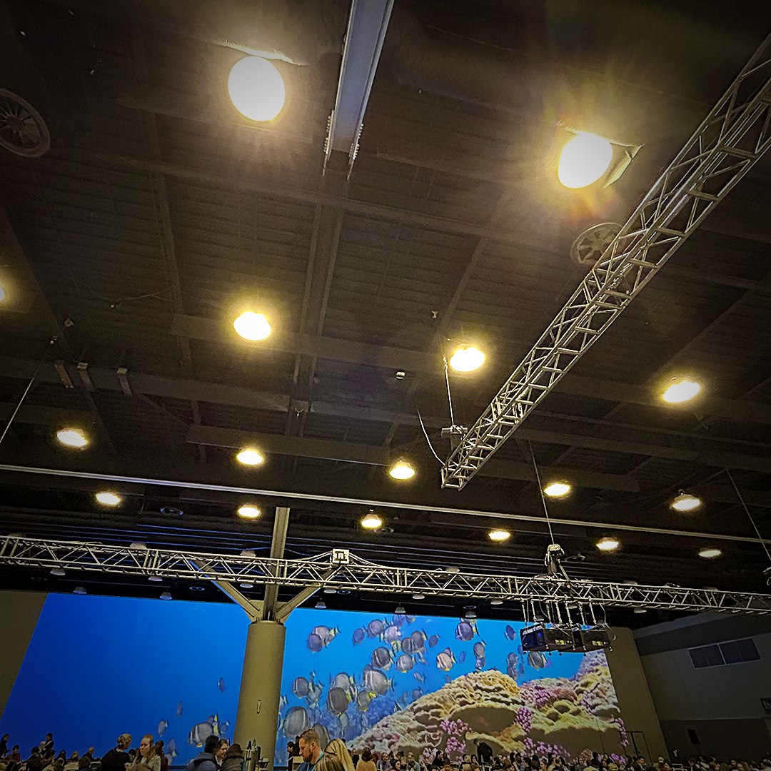 RiggitServices's tweet photo. Well, the truss certainly had an impact on IMPAC5.
#riggit #riggitservices #impact5 #marineprotection #ocean #marineconservation #marinelife #rigging #rigger #stage #production #rigginsteel #lighttrusses #trussdesign #stagedesign
https://t.co/t9Xqh8sleI https://t.co/Ywj5UPM2Vo