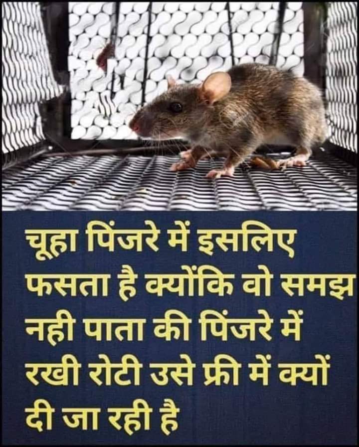 इसका #सिधा_संबंध छुटेली 👧 #झूठे_केस दर्ज करने वाली #औरत 🧟‍♀️ से ही है..!!
#CrPC125
#DomesticViolenceAct