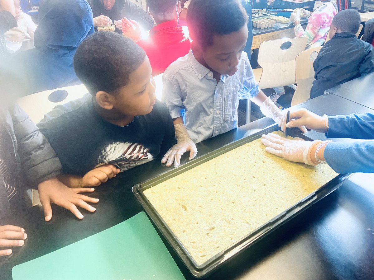teacher_city's tweet photo. Year-round gardening + STEM = future global eco-citizens!♥️🥬 6th graders mentor 1st graders preparing seedlings for harvest.  @TowerGarden  @ForkFarms &amp; @ICDGTF. #ChristinaCommUNITY
 #KidsGrowGreenWilm #CSDPride 
#ChristinaStrong #IndoorGarden 
@cityofwilmde @ChristinaK12 https://t.co/OHh6Aw6mSR