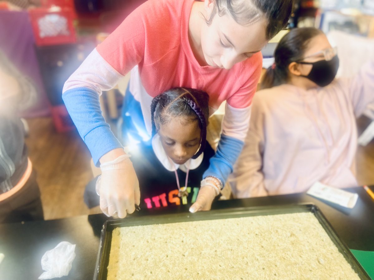 Year-round gardening + STEM = future global eco-citizens!♥️🥬 6th graders mentor 1st graders preparing seedlings for harvest.  @TowerGarden  @ForkFarms & @ICDGTF. #ChristinaCommUNITY
 #KidsGrowGreenWilm #CSDPride 
#ChristinaStrong #IndoorGarden 
@cityofwilmde @ChristinaK12