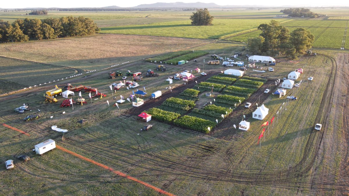 RadarAgtech's tweet photo. Todo listo! Mañana nos encontramos en #Tecnobio2023 🙌

Nos vemos 🙂

#Tecnobio #RadarAgTech #RadarEnTecnobio #Agtech #Agrotecnologia #Campo #Cultivos #EventosAgtech https://t.co/wC3nPcm8lR