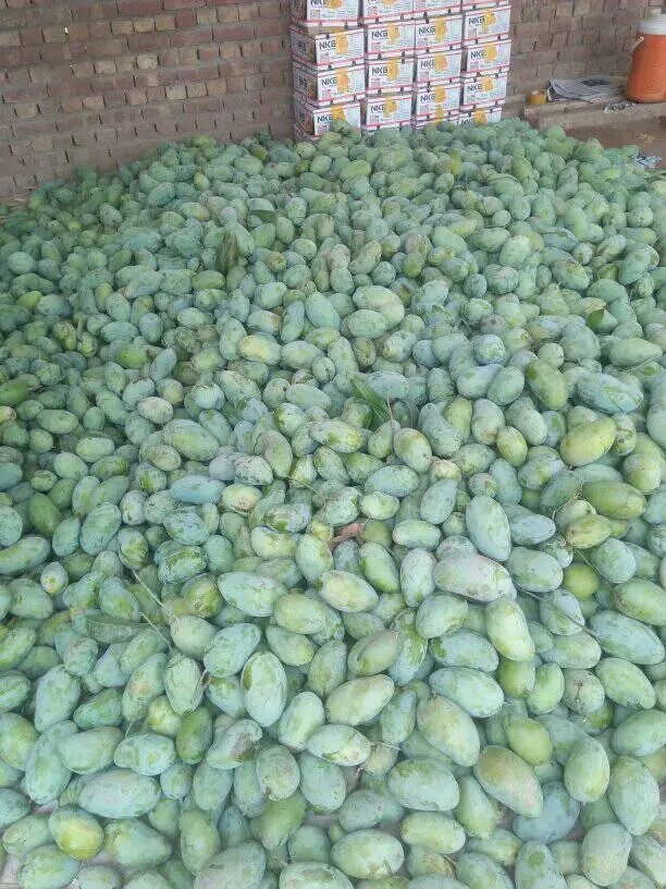 QueenPresh773's tweet photo. Plenty mango you decided to go with my Man 😩 https://t.co/zy0gFLhq8j