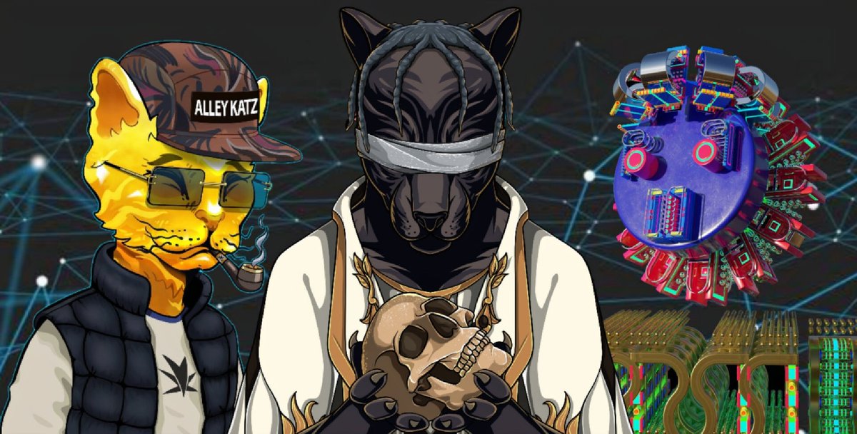 Mr_Anchovy_'s tweet photo. @solitudePanther @AlleyKatzCNFT @gooddroids LFG
@simonkey5191 @HusniCNFT @duitajsamaberas @MochaVnl
#AlleyKatz
#tspa
#gooddroids
#CNFTCommunity #CNFTGiveaways https://t.co/hwHdBw8mJ5