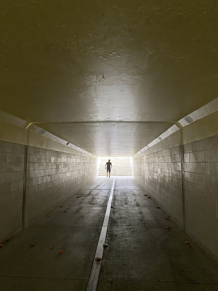 ECOCINEMA tweet media