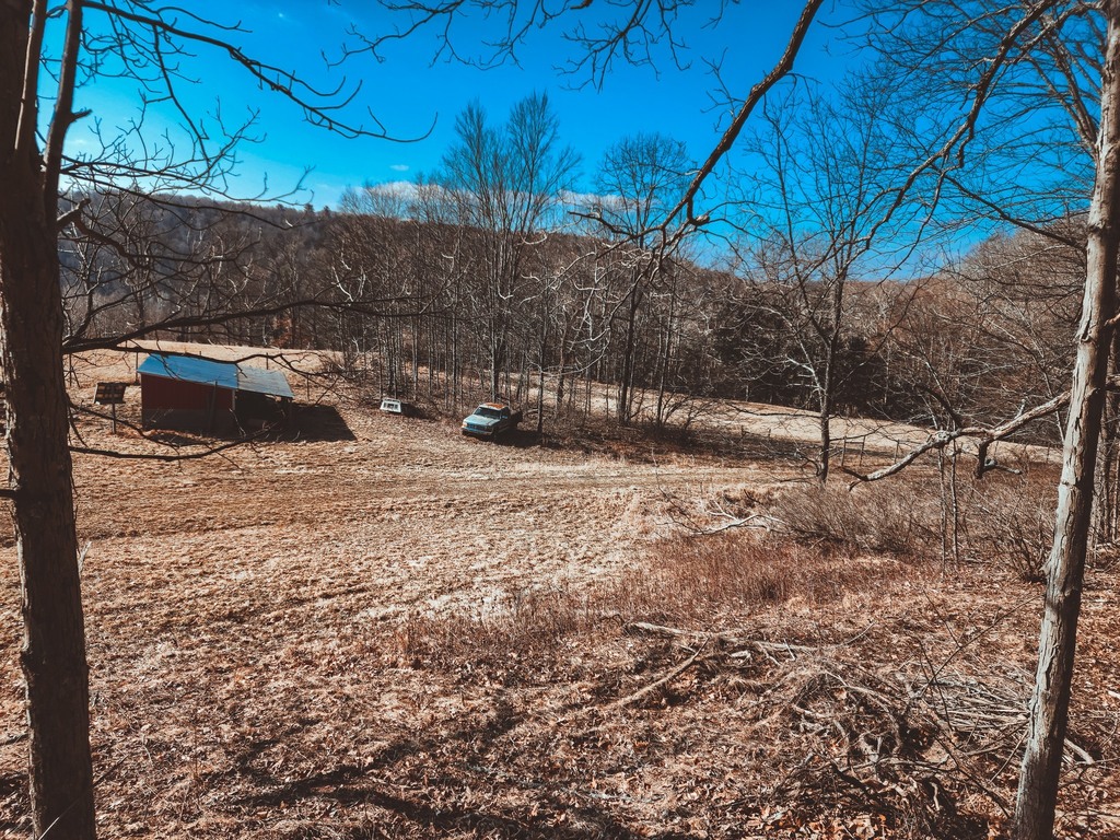 writingsofCMT's tweet photo. We took a couple days last week to escape the city. It was the first time in a long time I didn't use my camera at the farm. These are the only shots I got and I tried editing them as dramatically as I do for city pictures. The results seem very over the… https://t.co/zFziL3E8Bs https://t.co/UZCFFBA7eZ
