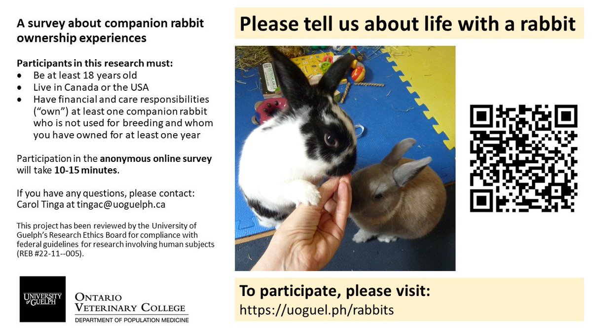 CCSAW_UofG's tweet photo. Tell us about your life with a companion rabbit! We want to hear from owners who live in Canada and the USA at https://t.co/xIY36QWrZG. This is part of Carol Tinga’s companion rabbit PhD research @OntVetCollege. 

#petrabbit #petrabbits #rabbits #rabbit #bunnies  

Please share! https://t.co/VtdmtvxhE0