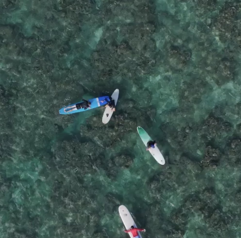 Hans Hedemann Surf tweet media