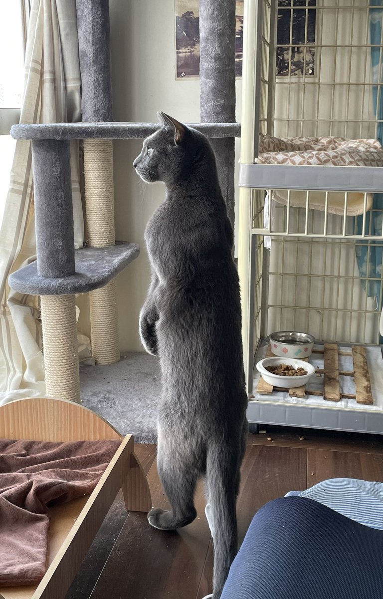 大竹達哉 tweet media