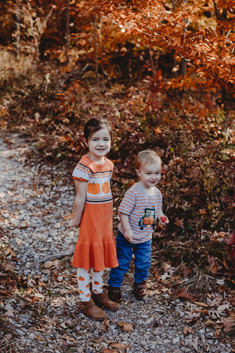 lacyclagg's tweet photo. More fall trees today #throwback because I need the serotonin 🤷‍♀️ https://t.co/YYqIq9P3y5