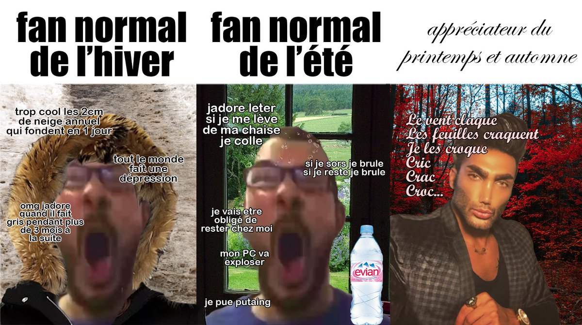 mousstery's tweet photo. "team été" "team hiver" oui mais pourquoi pas une autre option https://t.co/twWkqUz2wu