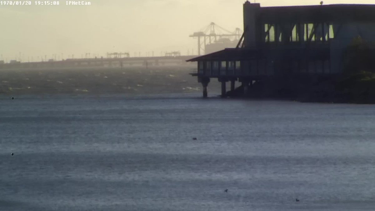 #windywindy... > 15kt <a href="/calsailing/">Cal Sailing Club ⛵️</a>! more at whatskraken.cal-sailing.org/wind