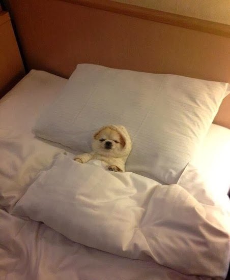 My single ass all tucked into my couch on Valentine’s Day Eve, ready to watch desperate girls duke it out over a solid 6 man

#TheBachelor