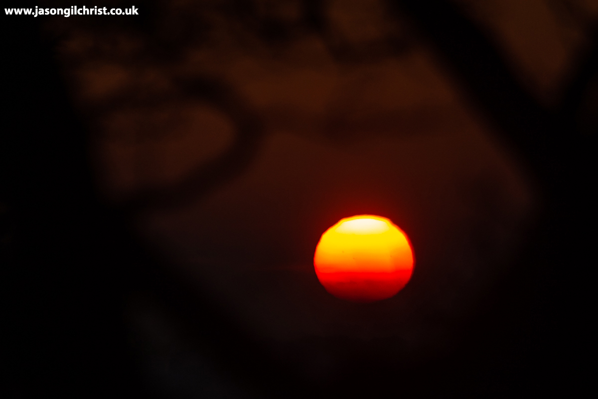 Sunset was special this evening. From Corstorphine Hill woods, Edinburgh, Scotland. #sunset #sun #TheSun #SunPhotography #woodland #woods #CorstorphineHill #StormHour #ThePhotoHour #Weatherwatchers #OutdoorPhotography #landscape #edinphoto #Edinburgh #Scotland #ScotlandIsNow