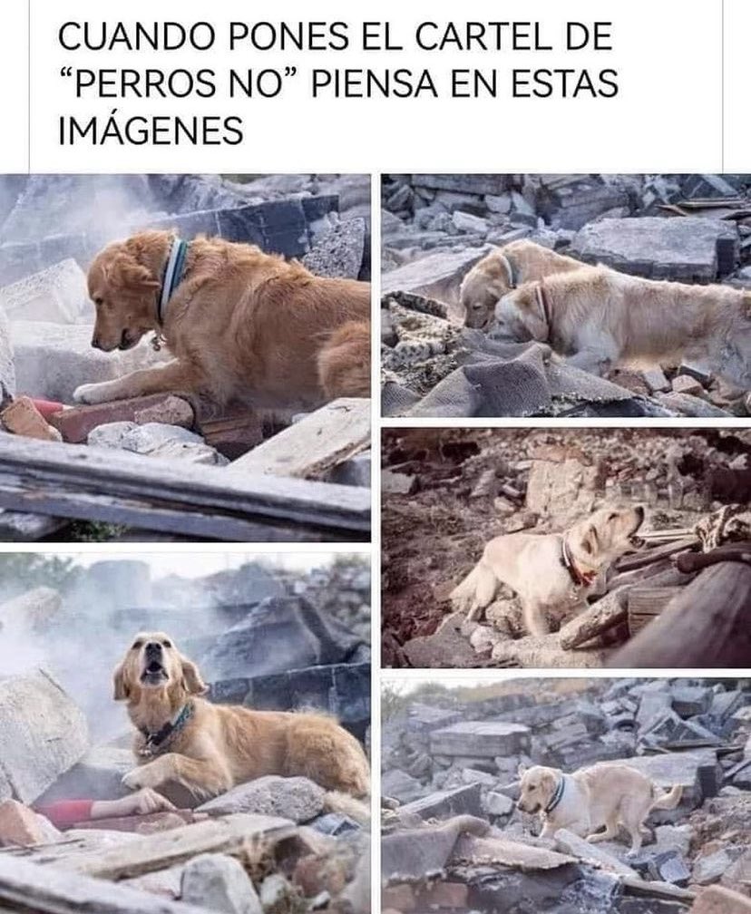 Mayú Guillén 🇲🇽🇺🇦 (@mayumiguillen) on Twitter photo 