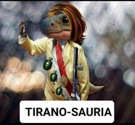 sebastian2000's tweet photo. @FiscaliaPeru La culpable... https://t.co/ikNQ4zvwKa