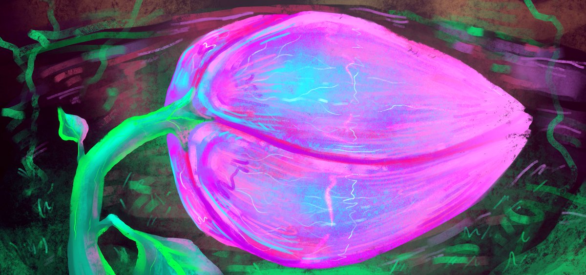 ONEworldEXPL's tweet photo. On the roots of the Minerals four symbols of hope growing so immense that nature itself was humbled without a word being spoken. In these massive flowers mystic movements were detected that could be the enigma of a new beginning, waiting for the moment of truth…#explorills🪷6/21 https://t.co/xa7JvJmWNf