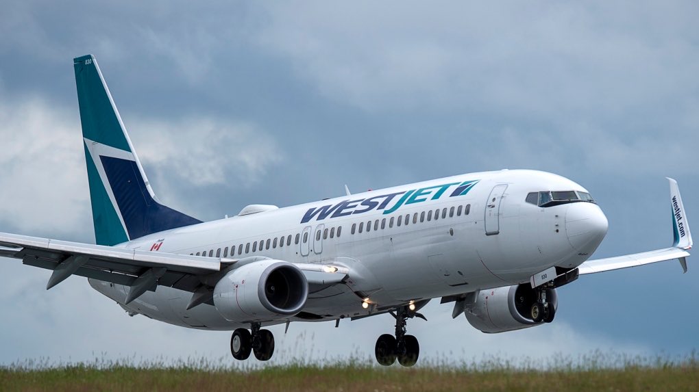 Tim Reid (@timreid62) on Twitter photo Thanks <a href="/WestJet/">WestJet</a> for again showing your support for air travel in #yqr <a href="/FlyYQR/">YQR - Regina International Airport</a> & helping grow @TourismRegina with increased air service - Kelowna anyone? If we want great flight options we need to support great flight options. Summer travel in #Saskatchewan is looking good! Thanks <a href="/WestJet/">WestJet</a> for again showing your support for air travel in #yqr <a href="/FlyYQR/">YQR - Regina International Airport</a> & helping grow @TourismRegina with increased air service - Kelowna anyone? If we want great flight options we need to support great flight options. Summer travel in #Saskatchewan is looking good!