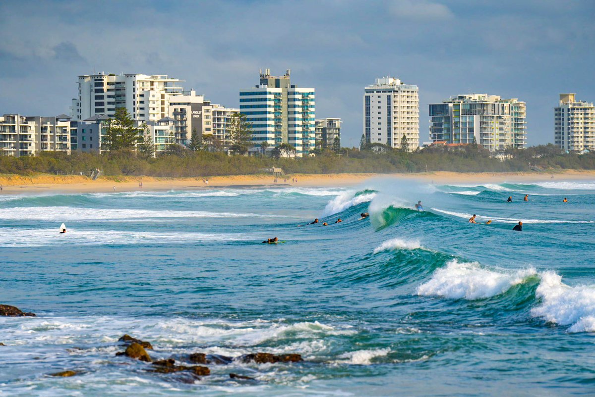 ANZebrafish's tweet image. Some attendees have showed off their surfing skills @ANZebrafish and went straight into 3rd day of great presentations and socialising! Look forward to your Plenary talk @NicoliLab! #21sANZmeeting