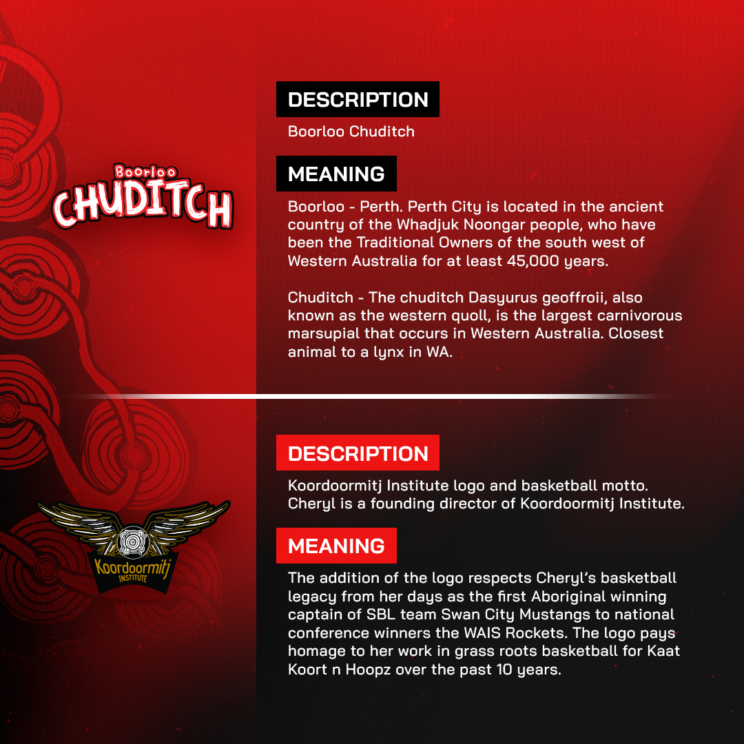 𝗕𝗢𝗢𝗥𝗟𝗢𝗢 𝗖𝗛𝗨𝗗𝗜𝗧𝗖𝗛

We are proud to unveil our 2023 Indigenous Jersey. We will be wearing these for the next 3 games. 

Thank you to Cheryl Kickett-Tucker for sharing your designs, stories and culture. 

#indigenous I #wnblindigenous I #boorloochuditch