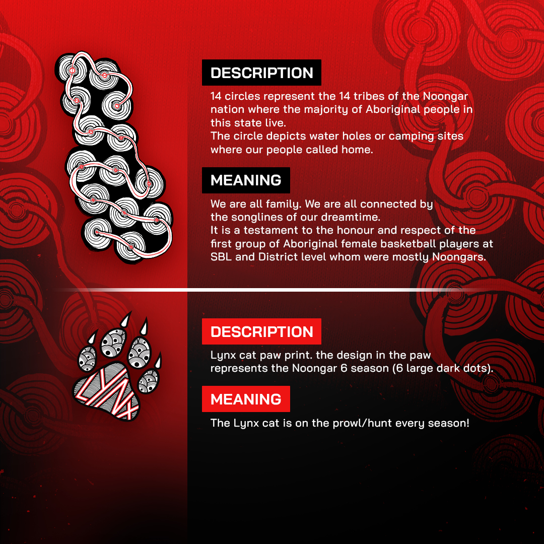 Perth Lynx tweet media