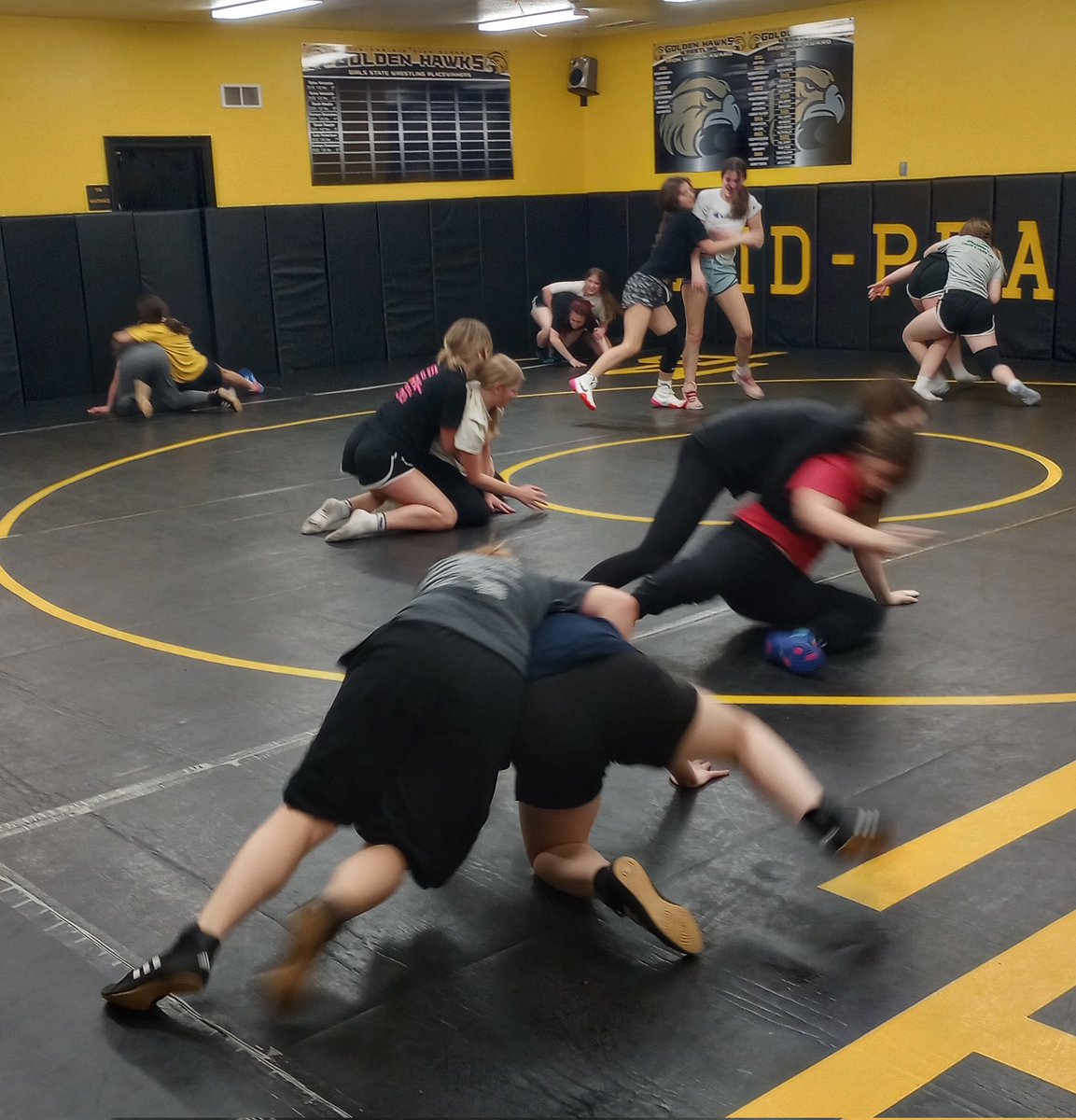 Good luck to the middle school girls tomorrow at their final meet of the season. Not only did all 12 wrestlers from Jan 3 finish the season, they ended with SIX more than they started with- 18 in the room today! 🐥🧷🤼